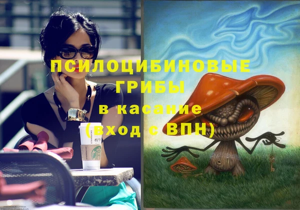 первитин Надым