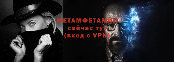 индика Медвежьегорск