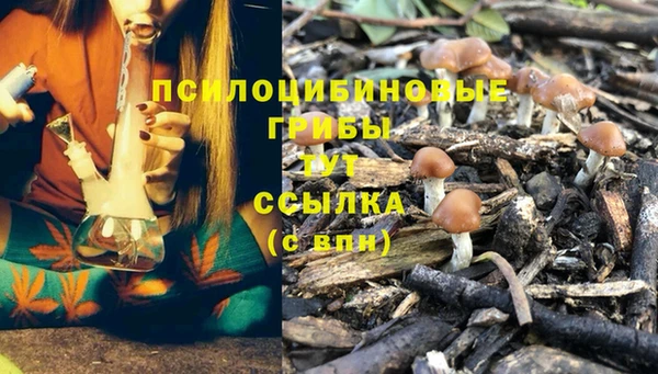первитин Надым