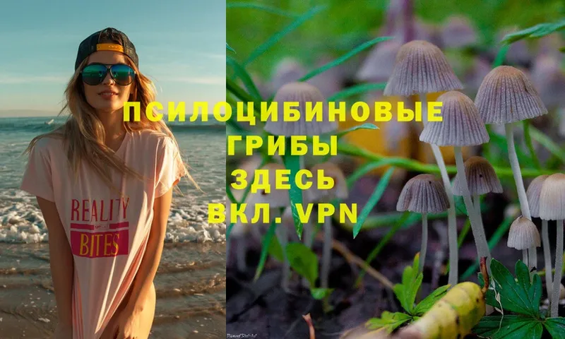 Галлюциногенные грибы MAGIC MUSHROOMS  Зеленодольск 