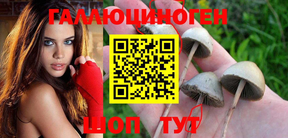 Галлюциногенные грибы GOLDEN TEACHER  Зеленодольск 