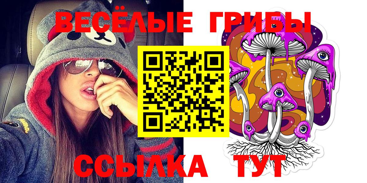 Галлюциногенные грибы GOLDEN TEACHER  Псилоцибиновые грибы Cubensis  Вход с VPN  Зеленодольск 